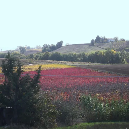 Almatoscana *
